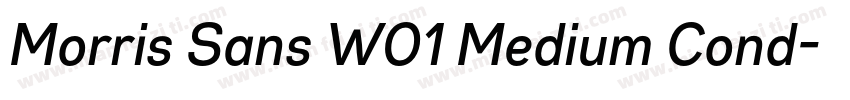 Morris Sans W01 Medium Cond字体转换